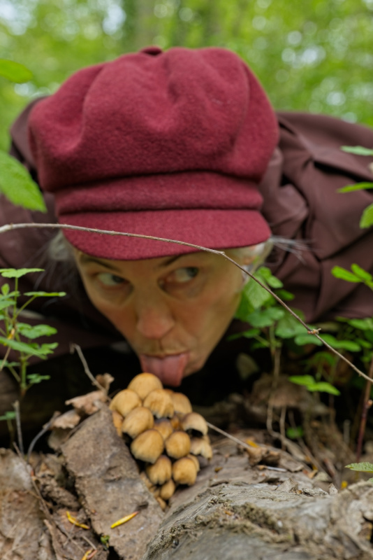 Das gruene Herz_HP_2002_ams